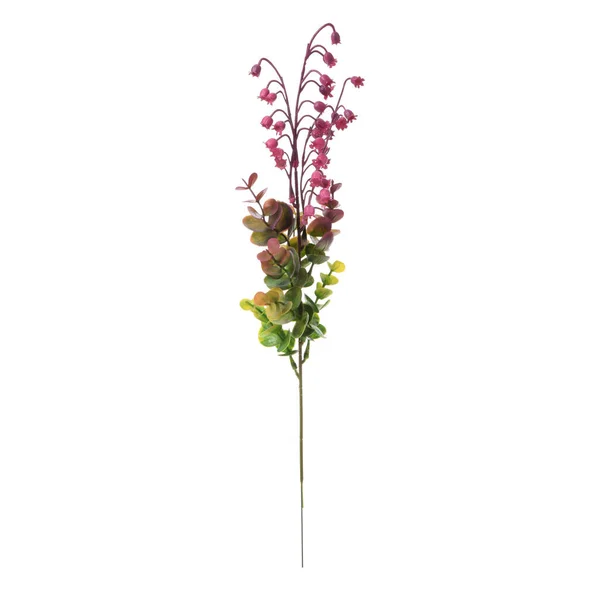 Gren Färgglada Blommor Isolerad Vit Bakgrund — Stockfoto