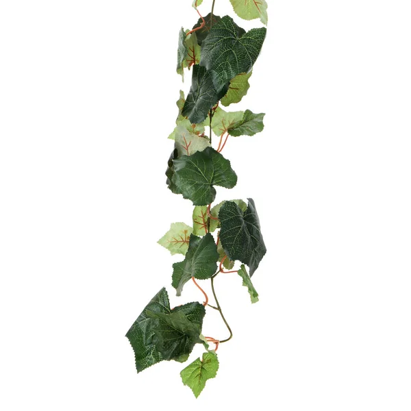 Groene Kunstmatige Bladeren Geïsoleerd Witte Achtergrond — Stockfoto