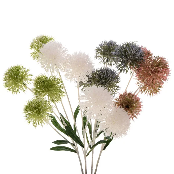 Bunte Künstliche Pflanzen Isoliert Auf Weißem Hintergrund — Stockfoto