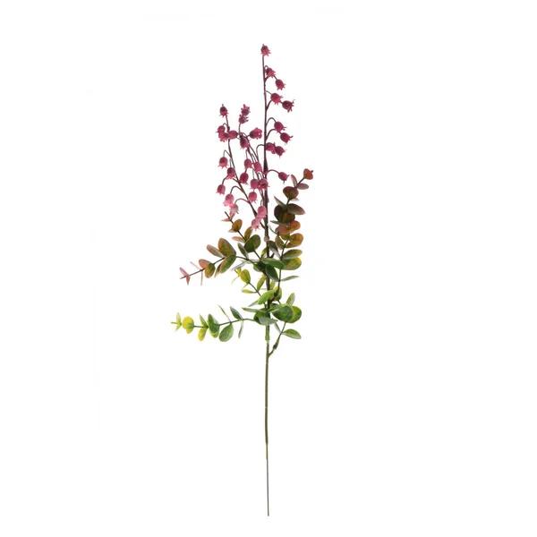Haara Värikkäitä Kukkia Eristetty Valkoisella Pohjalla — kuvapankkivalokuva