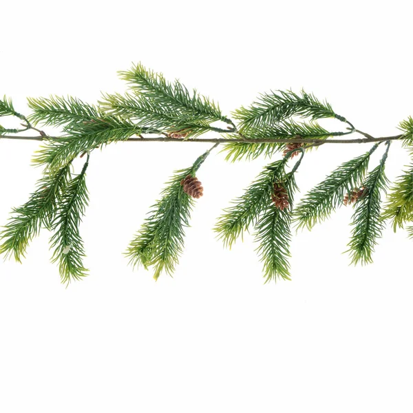 Christmas Fir Tree Isolated White Background — Stock Photo, Image