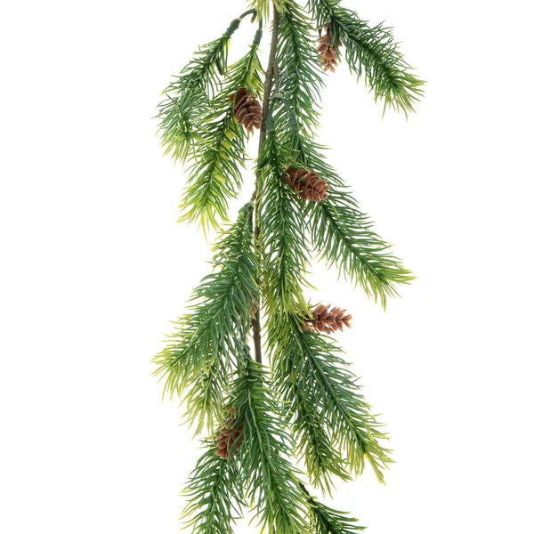Weihnachtlicher Grüner Kiefernzweig Auf Weißem Hintergrund — Stockfoto