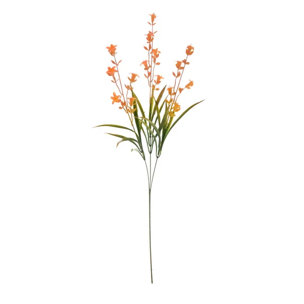 Mesterséges Virágok Elszigetelt Háttér Stock Kép