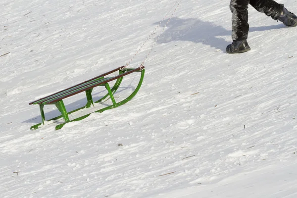 Sled verde . — Fotografia de Stock