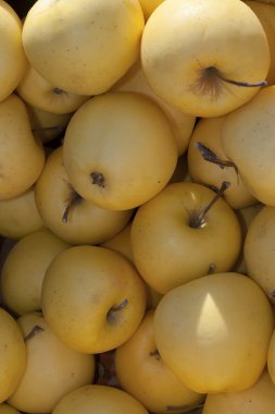 Sarı iştah açıcı elma.