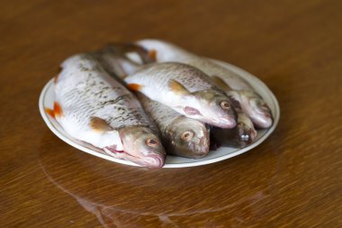 Ahşap bir masa üzerinde bir kasede ölçekler olmadan taze balık.