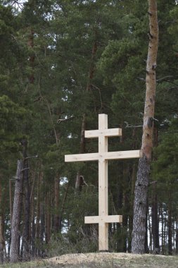 Ormanın kenarında ahşap çapraz.