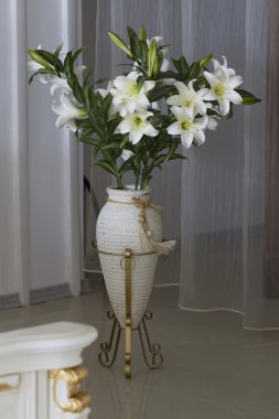 Bir tencerede büyük dekoratif houseplant.