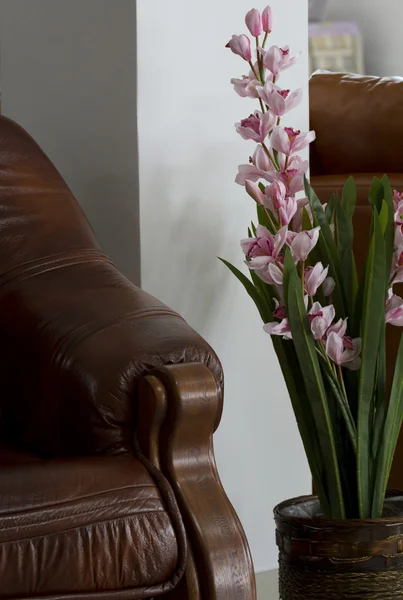 Pot with a large potted flower. — Stock Photo, Image