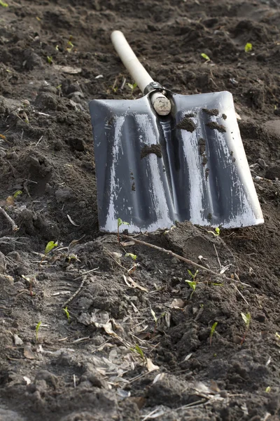 Spade on the lawn. — Stock Photo, Image