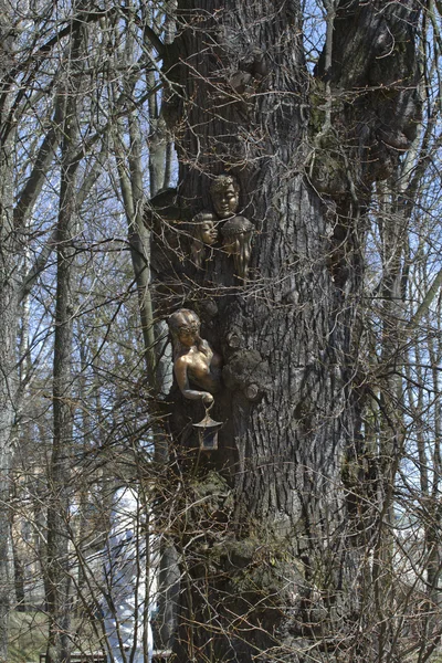 Figuur bos maagden op de oude eiken Ostrog park. — Stockfoto