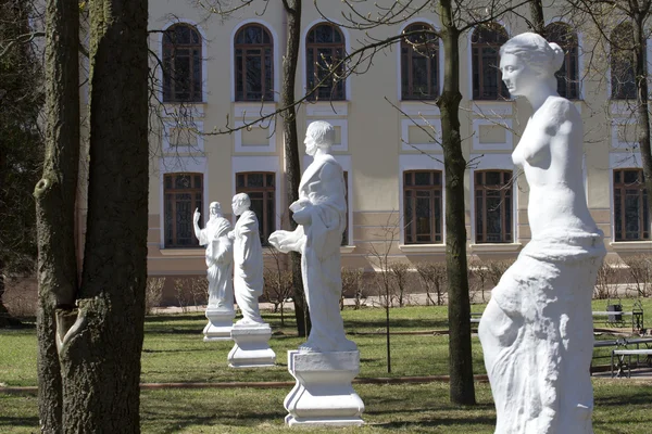 奥斯特罗格学院的庭院里的雕像. — 图库照片