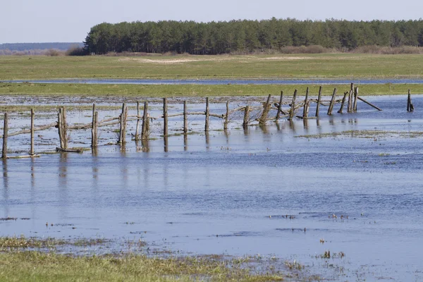 Pastos paddock inundados inundaciones de primavera . — Foto de Stock