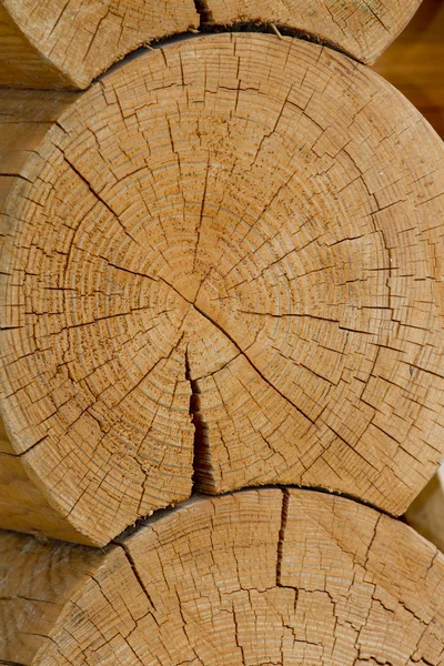 Part of the wall of logs with insulation between them. — Stock Photo, Image