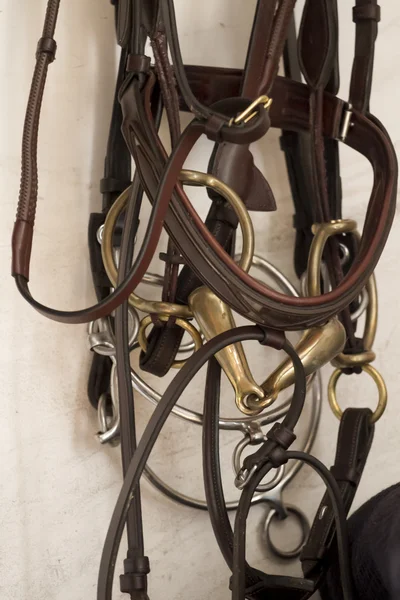Bridles de cavalo de couro e pedaços pendurados na parede do estábulo . — Fotografia de Stock