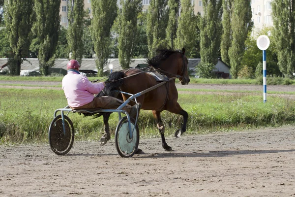 Pferd und Wagen auf der Strecke. — Stockfoto