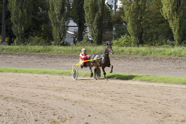 Pferd und Wagen auf der Strecke. — Stockfoto