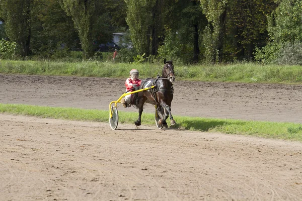 Pferd und Wagen auf der Strecke. — Stockfoto