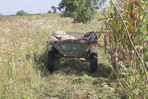 Wooden cart in the shade of corn. — Stock Photo, Image