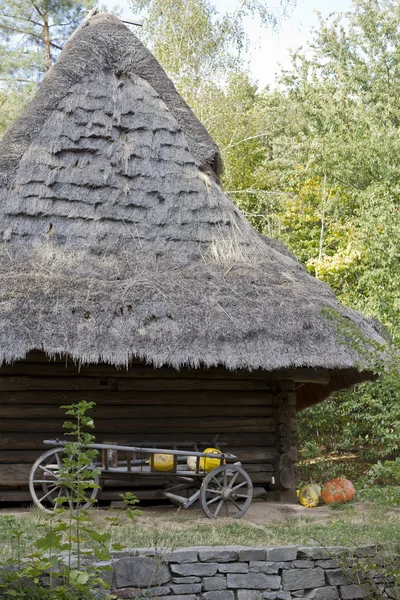 Altes Blockhaus und Holzwagen mit Kürbissen. — Stockfoto