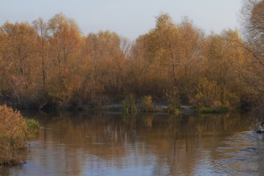 Sessiz sonbahar nehir suyu.