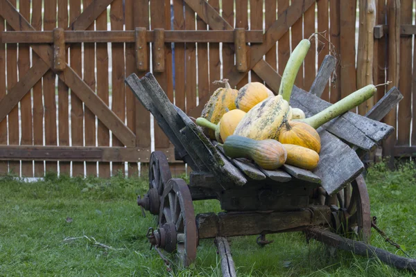Old horse wagon with pumpkins. — Stock Photo, Image