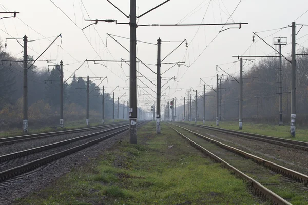 Професія працівник залізниці: Які карєрні можливості дає спеціальність