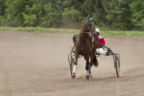 Uitvoeren van een paard en wagen op het spoor. — Stockfoto