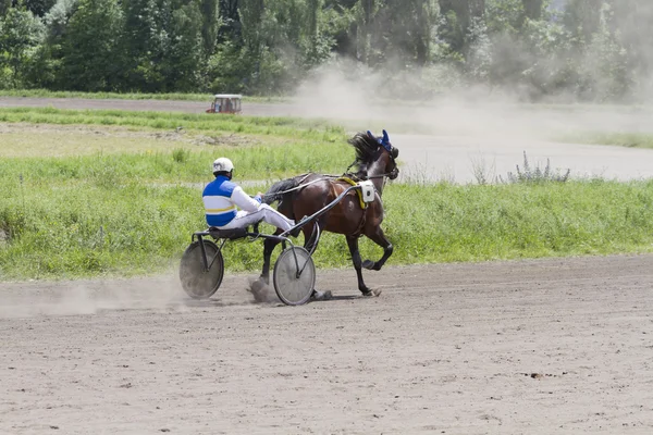 Uitvoeren van een paard en wagen op het spoor. — Stockfoto