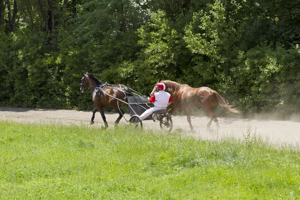 Rider treinen zijn paarden. — Stockfoto