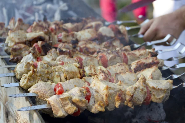 Meat on skewers over the coals. — Stock Photo, Image