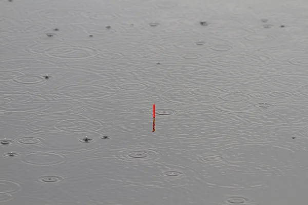 Float rod in the water when it rains. — Stock Photo, Image