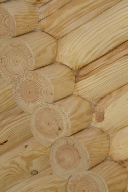 Günlük ev duvar parçası.