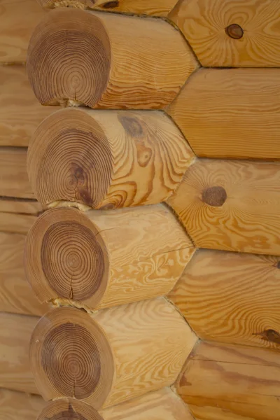 Part of the wall of logs with insulation between them. — Stock Photo, Image