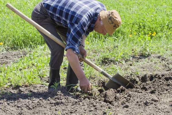 A man with a shovel digs a flower bed. — Stock Photo, Image