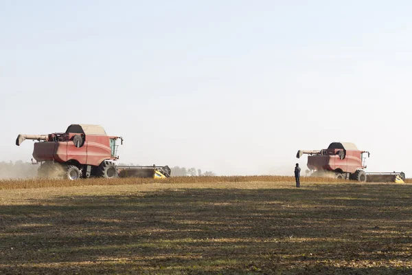 Combine during harvest. — Stock Photo, Image