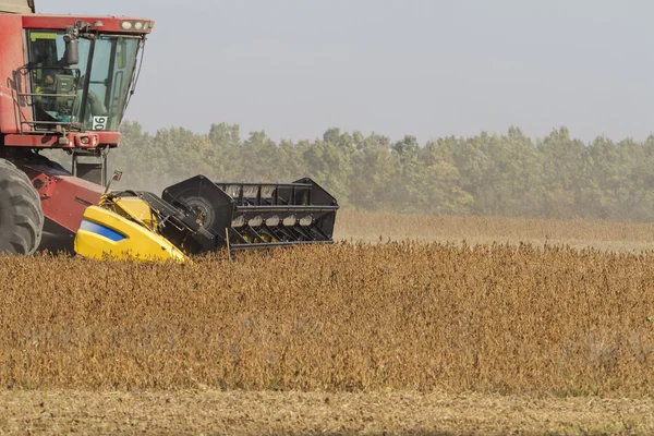 Hasat sırasında birleştirmek.