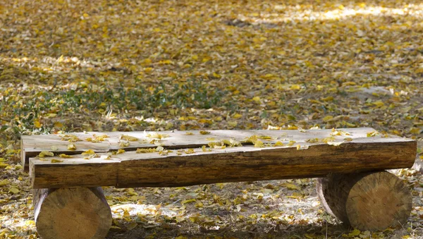 Dřevěná lavička v podzimním lese. — Stockfoto