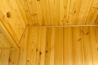 Bir panel çam kurullarının.