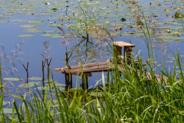 Ahşap köprü balıkçı.