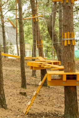 Spor turizmi çam ormanı içinde eğitimin bir parçası çalışır.