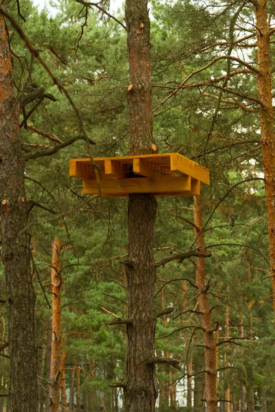 Houten dek op de pine. — Stockfoto