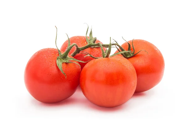 Tomatoes — Stock Photo, Image