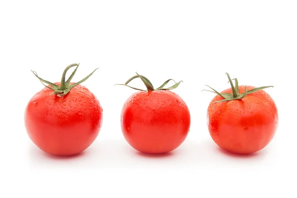 Tomatoes — Stock Photo, Image