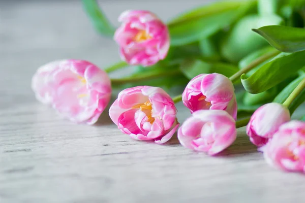 Tulips on a wooden background — Stock Photo, Image