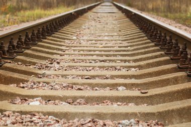 Close-up - Autumn sunset on the rail. Autumn background - the railway tracks recede over the horizon. clipart