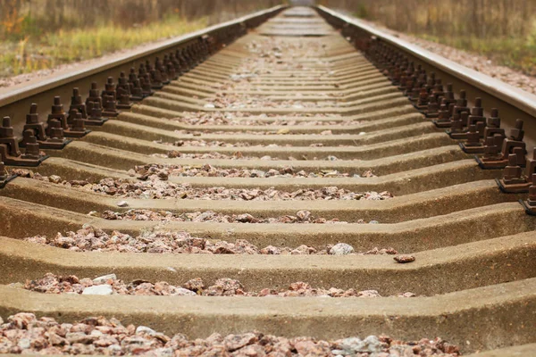 Close Autumn Sunset Rail Autumn Background Railway Tracks Recede Horizon — Stock Photo, Image