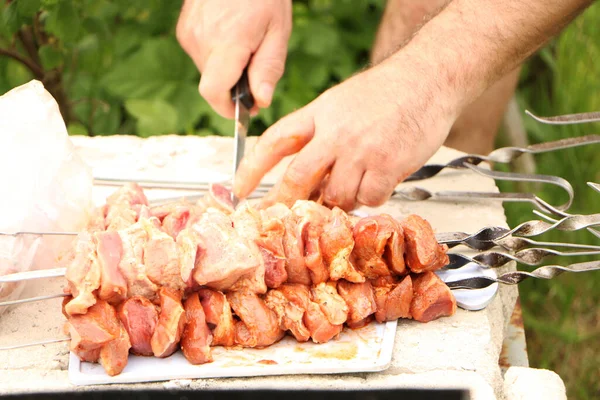 烤架上的肉串烤在绿色的背景上 暑假和传统户外烧烤野餐 烤肉沙士力克 — 图库照片