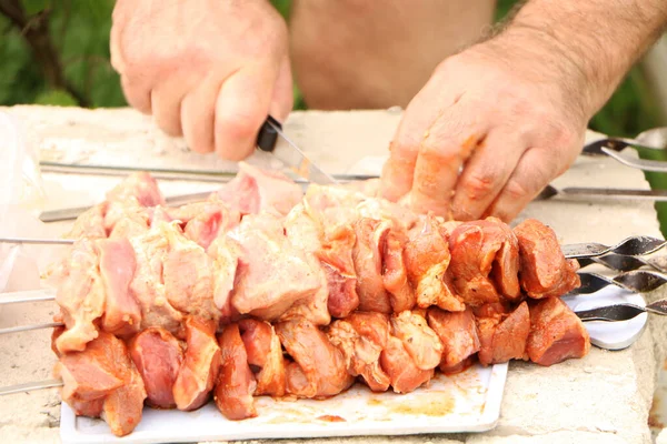 Masový Kebab Grilu Zeleném Pozadí Letní Dovolená Tradiční Venkovní Bbq — Stock fotografie