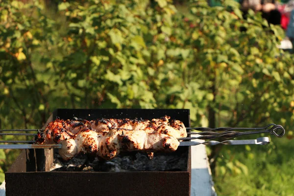 Masový Kebab Grilu Zeleném Pozadí Letní Dovolená Tradiční Venkovní Bbq — Stock fotografie